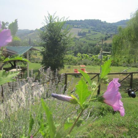Le Spighe Agriturismo Cesena Exteriör bild