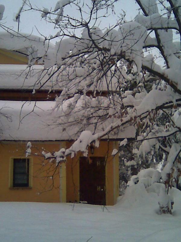 Le Spighe Agriturismo Cesena Exteriör bild