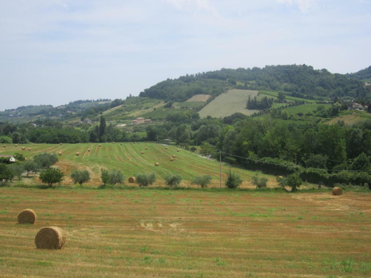 Le Spighe Agriturismo Cesena Exteriör bild