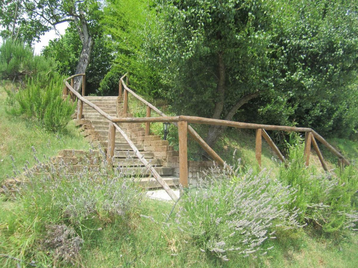 Le Spighe Agriturismo Cesena Exteriör bild
